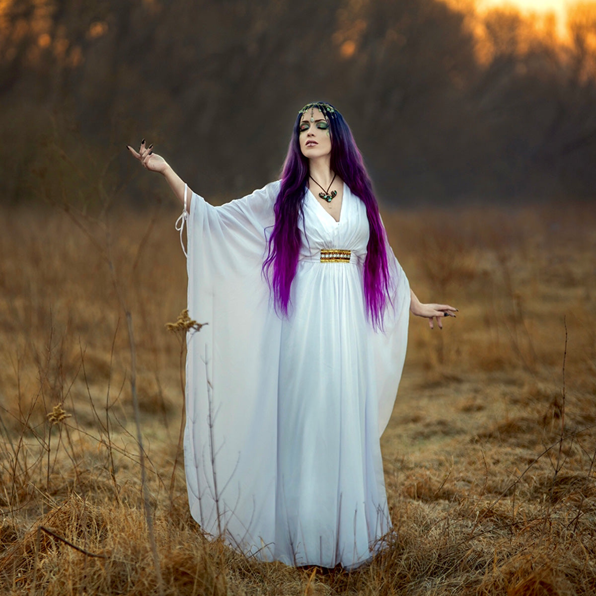 Aliyah Gorgeous Goddess Gown Butterfly Art Dress