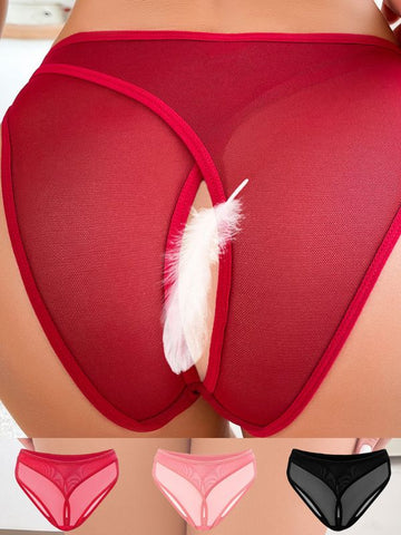 Femal Sexy Hollow Out Mesh Panties